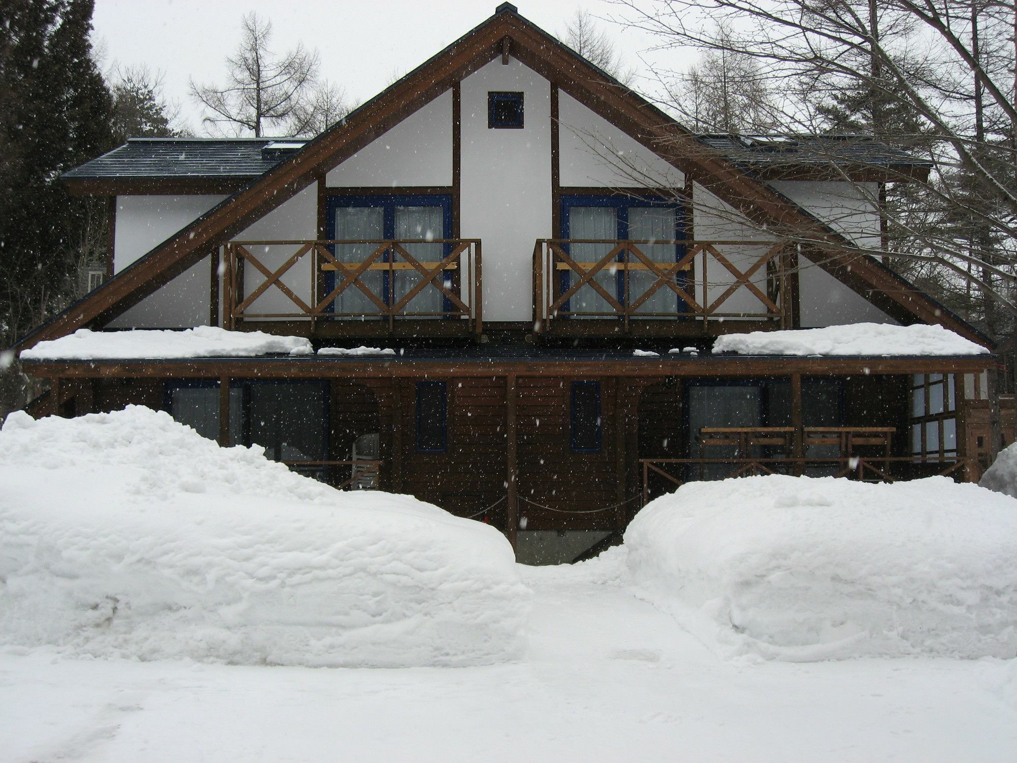 Hakuba Megeve Villa Bagian luar foto