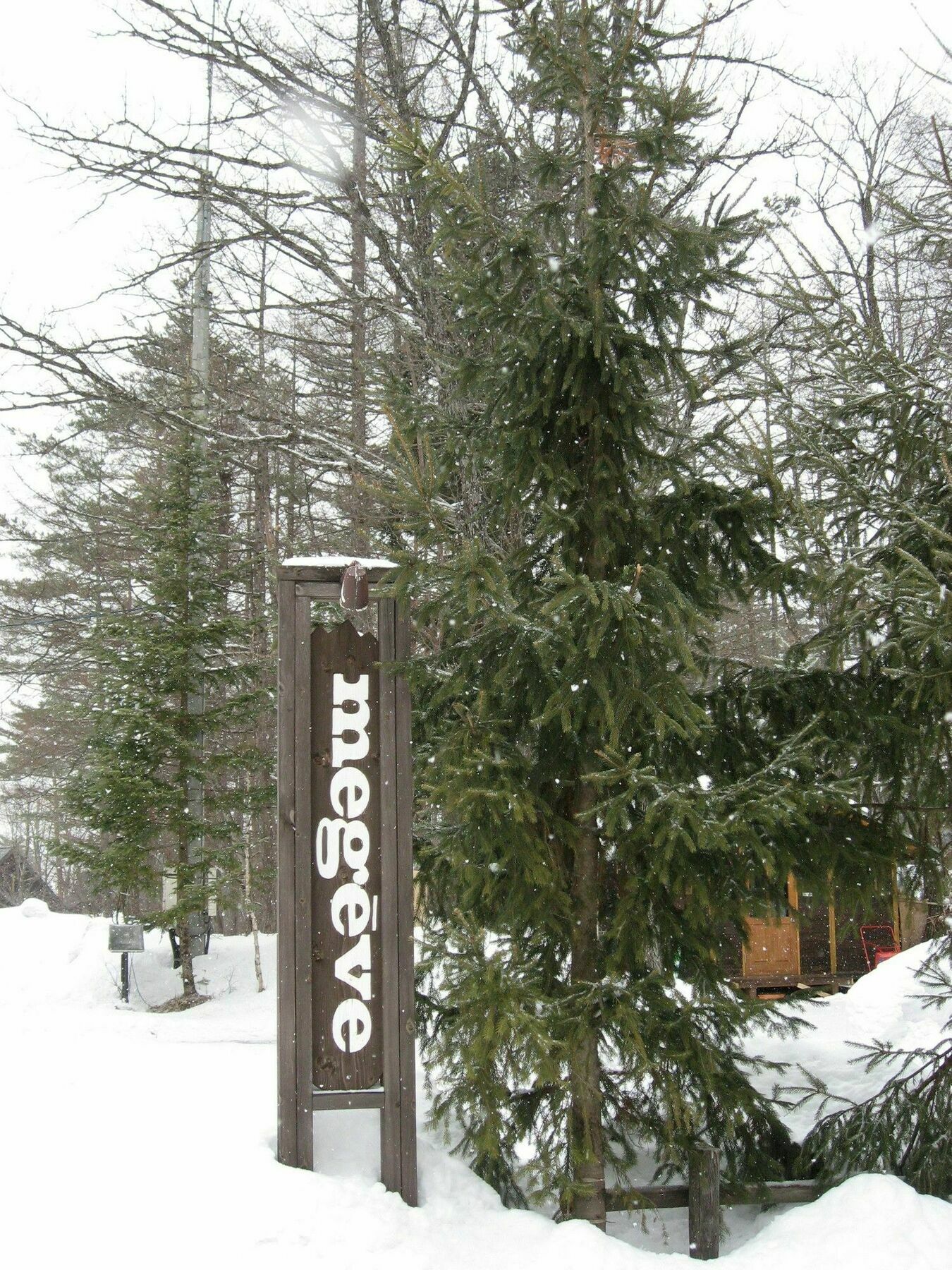Hakuba Megeve Villa Bagian luar foto